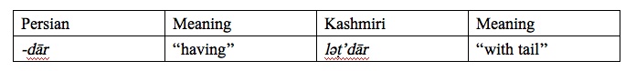kashmiri language example 2