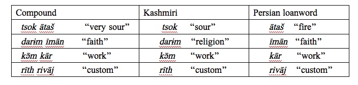kashmiri language example 6