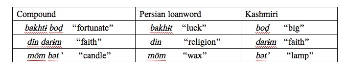 kashmiri language example 7