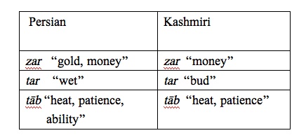 kashmiri language example 8